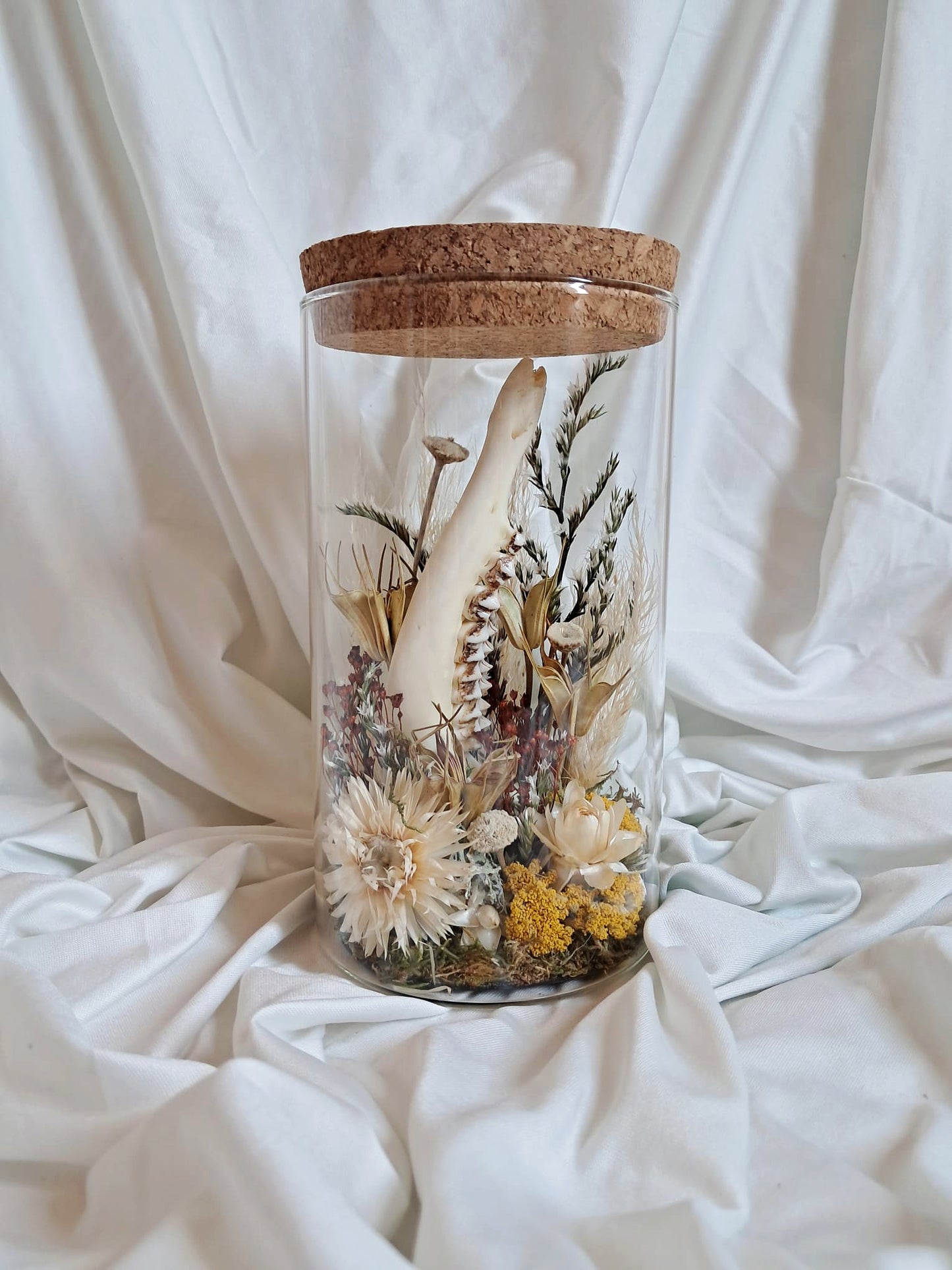 Composition mâchoire