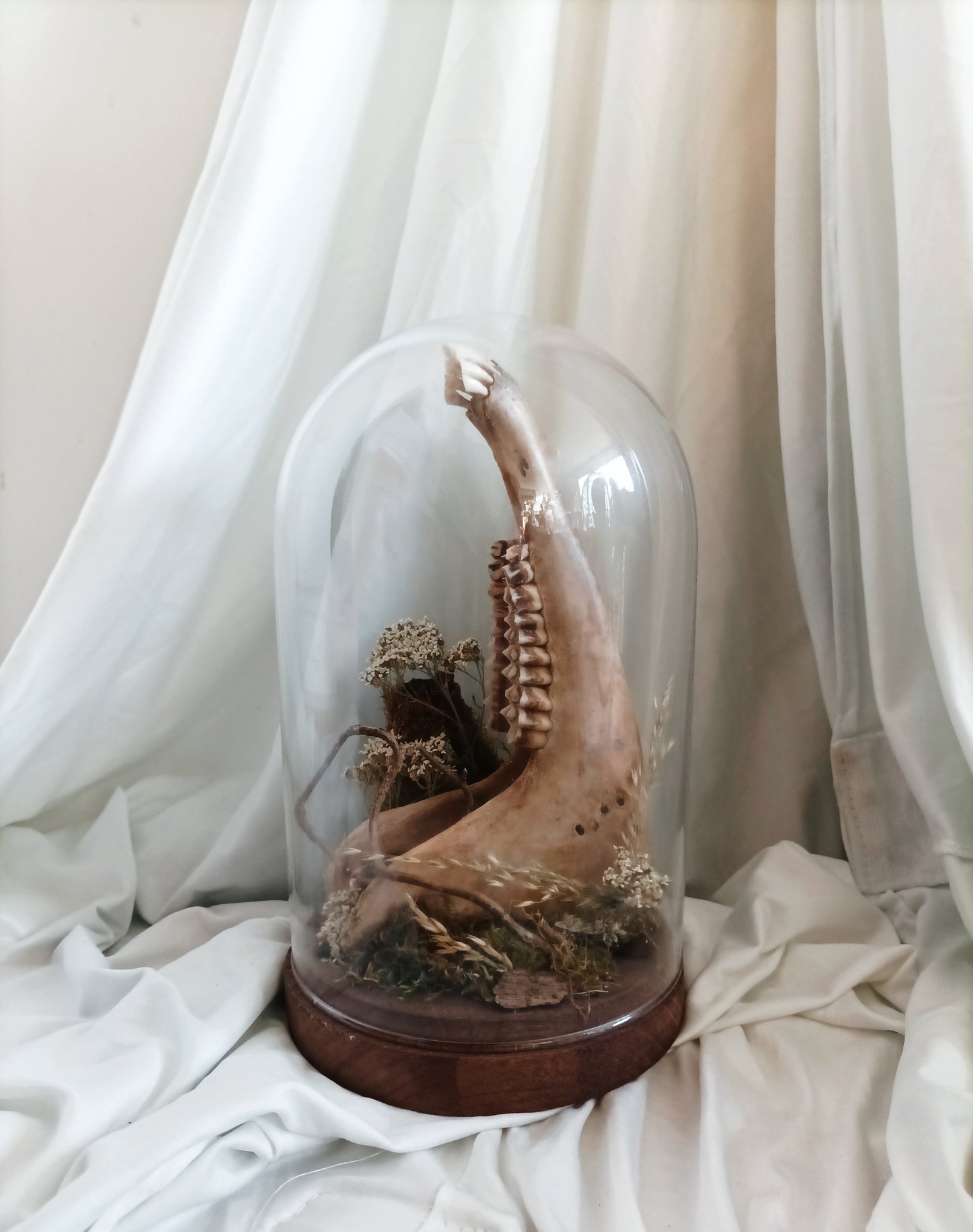 Cloche grande machoire