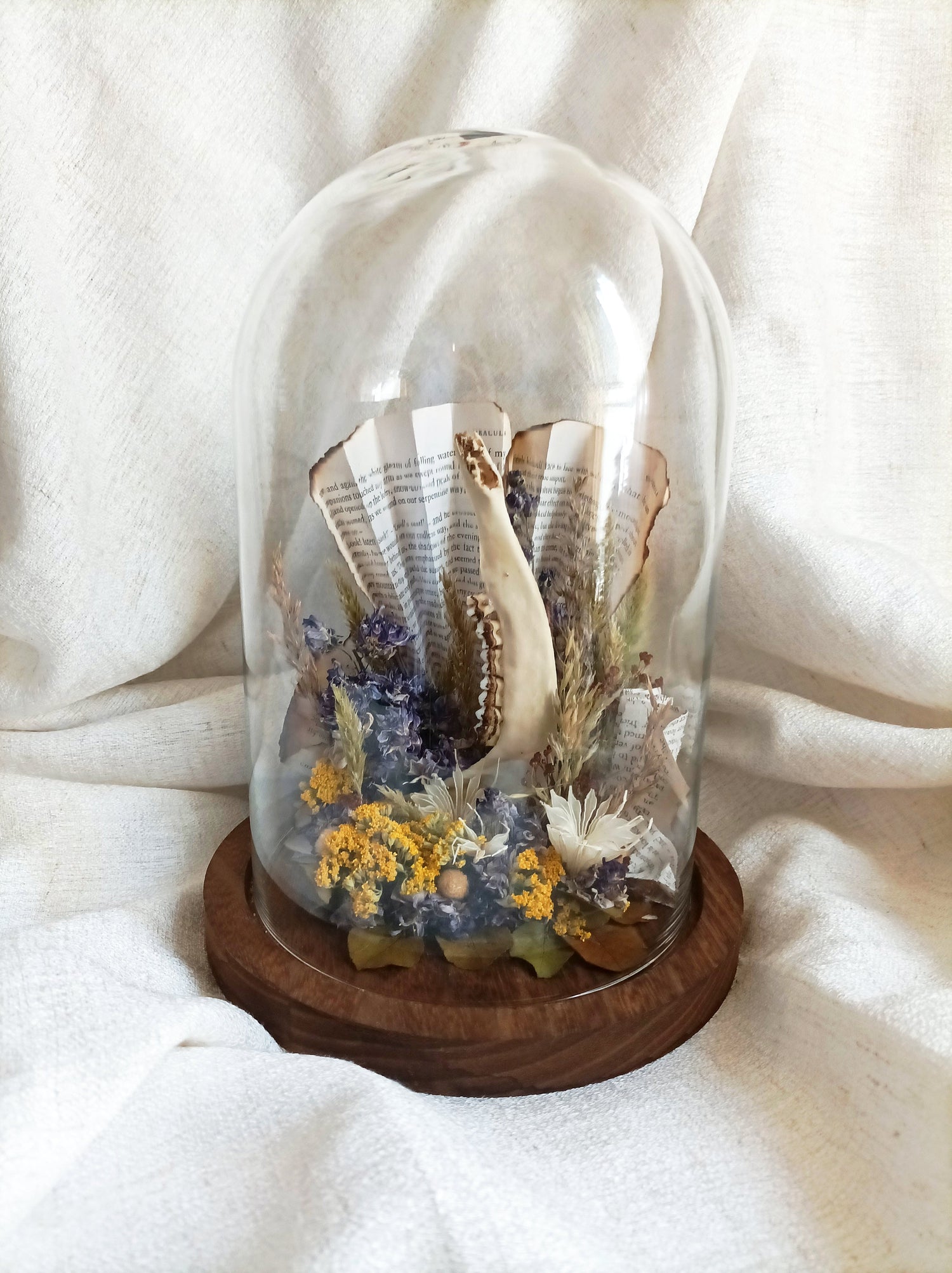 Cloches