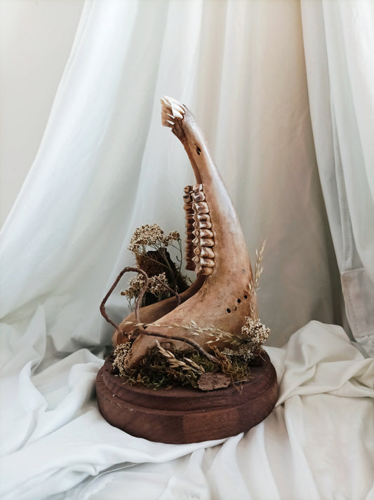 Cloche grande machoire